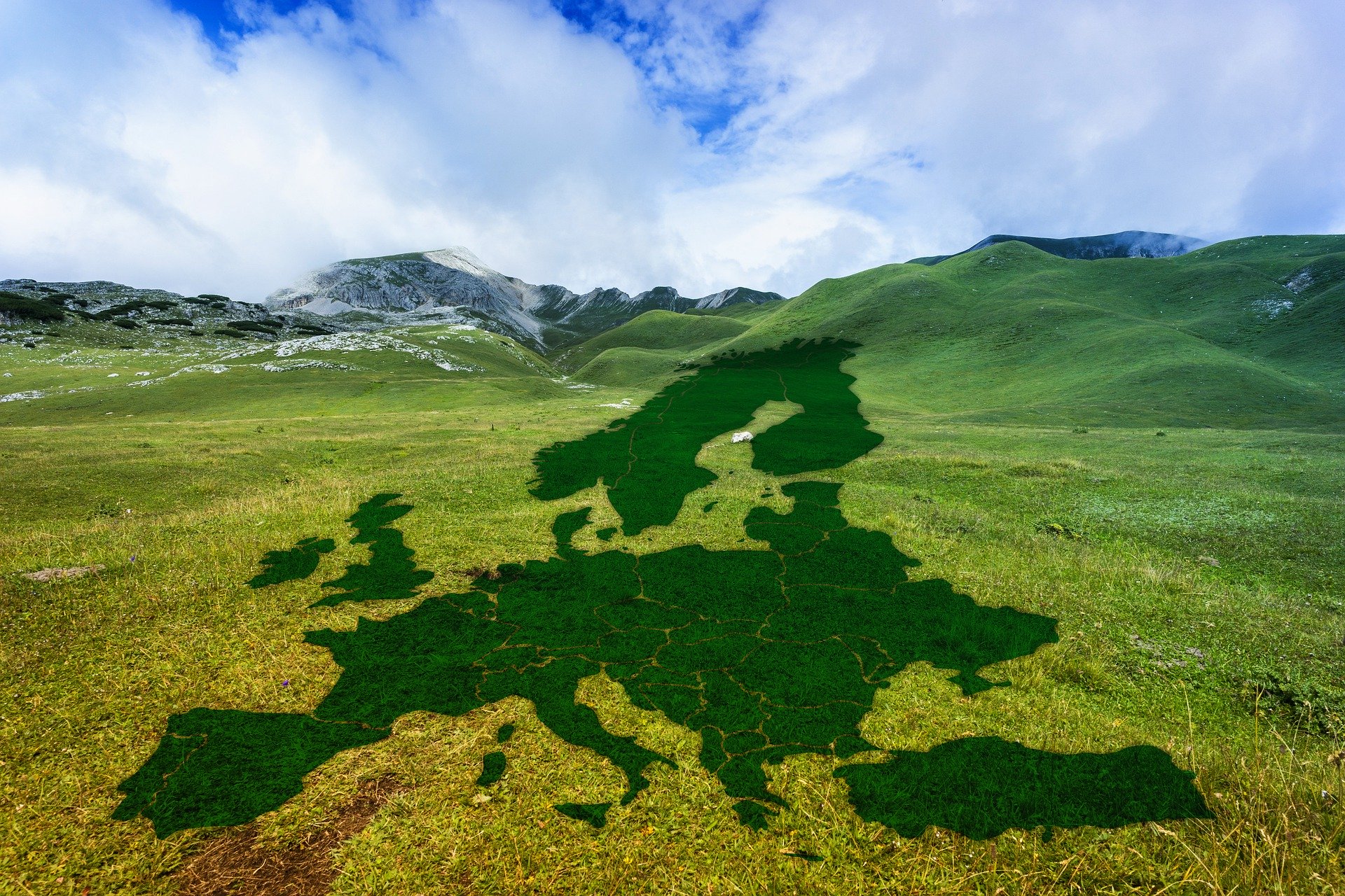 Image result for european green deal"